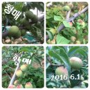 김호농장 이미지