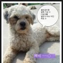 기다리다 이미지