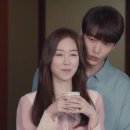 고양이 기숙사 이미지