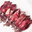 한치로1 이미지