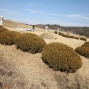 여주-1030 이미지