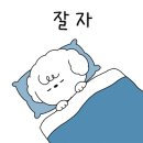 애견카페 제니콩콩 이미지