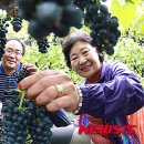 박종진 농장 이미지