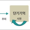 기억과 기억 이미지