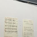 하이오동