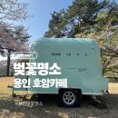 호암 | 숨은 벚꽃명소 용인 호암카페 이용후기