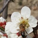 초롱농장 이미지