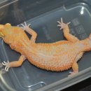 베스트 워시 이미지