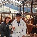 위헬스케어솔루션 이미지
