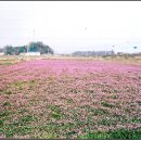 민애농장 이미지