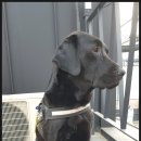 봉구세차장 이미지