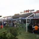 연탄춤추는돼지 이미지