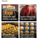 아임타코