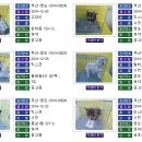 청조동물병원 이미지