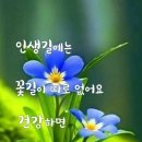 5월30일 (토) 커피방 정모모임날( 인덕원역 2번출구에서 동백이 차량 타실분은11시경 꼭 전화주셔야 합니다) 이미지