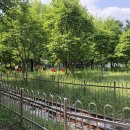 어린이교통공원 이미지