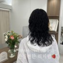 코지크