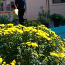 서천남산성 이미지