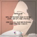 뉴스톰