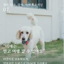P&M 반려견교육센터 대전점 이미지