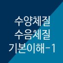 건강플러스365