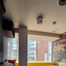 악어떼 노래연습장 이미지