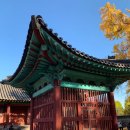대성빨래터 | [기록] 소설 속 종로 걸어보기 (혜화동, 명륜동) ②