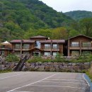 자연-이미지 이미지