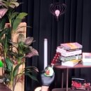 다원해 | 2026 SF9 DAWON FANMEETING ＜다원해＞낮공 후기