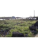 양식단지 앞 이미지