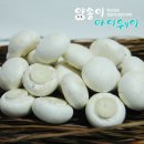 상윤농장 | 농장직배송 양송이버섯 으로 양송이덮밥 양송이크림리조또만들기