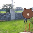 꽃잠 하우젠 네이버블로그