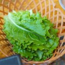 최고집숯불 이미지