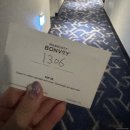 삼성타워(1306) | 서울 호텔 추천 포포인츠 바이 쉐라톤 명동 슈페리어 남산뷰 호캉스