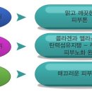 물광피부 - 성남시 중원구 둔촌대로 388 | 물광피부