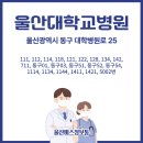 01-121 동구 이미지