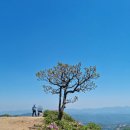 영암사 | 봄 황매산 철쭉축제 개화시기 주자창 등산코스 등 최신 정보 정리