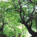 진벌1리 마을회관 이미지