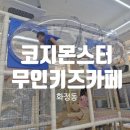 무인카페메일빈24광주점 | 광주 화정동 코지몬스터 무인키즈카페 키즈룸 ㅣ 3단 대형정글짐이 있는 광주키즈룸 초등생일파티키즈...
