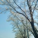 어슬렁대추정원 이미지