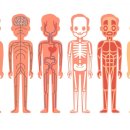 닥터바디짐 이미지