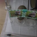 상도힐링동물병원 이미지