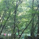 여울공원 배드민턴장 이미지