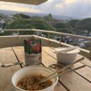 나우농장 | [신혼여행] 하와이 빅아일랜드 2박 3일 자유여행 2일차(코나조 커피농장·투스텝비치·마우나케아)