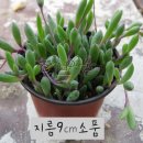 루비 - 창원시 마산합포구 중앙남3길 43 | 루비