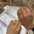 더줌밴드 | W 04. 웨딩밴드 투어 | 까르띠에, 티파니앤코, 그라프, 반클리프앤아펠 웨딩링 착샷 후기