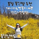 종로-종로-종로-종-179 | [등산후기]개나리와 벚꽃이 너무 예뻤던 안산(무악산)-인왕산 연계산행 등산초보 봄산행추천