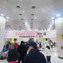 동산 | 부천 진달래동산 방문후기(4월5일기준 만개🌸)