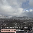 놀이터PC | [제주] 눈꽃명소 가볼만한곳 1100고지 cctv 실시간 확인방법, 주차/매점 정보
