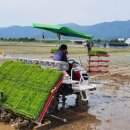 삼광자원 이미지